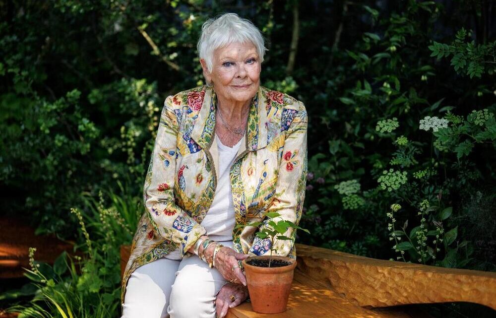 Judi Dench celebra 90 años, la reina del teatro británico