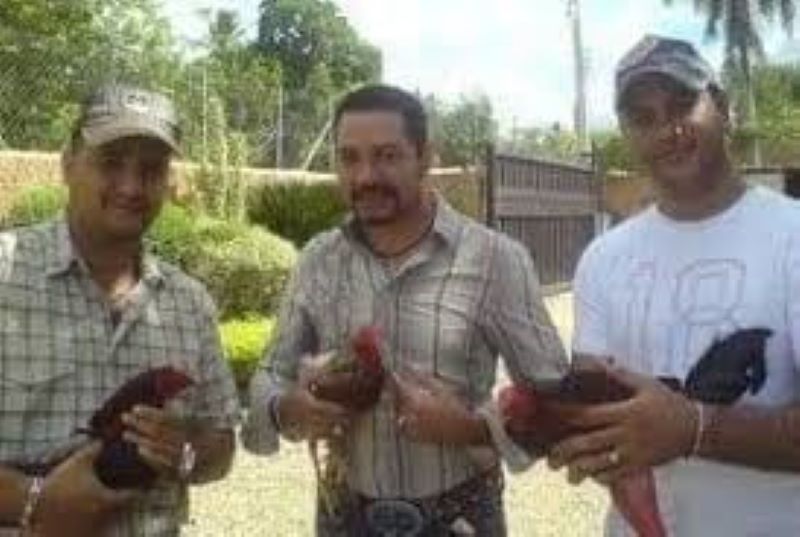 Frank Reyes es productor de pollo; ¿A cuánto venderá la libra?